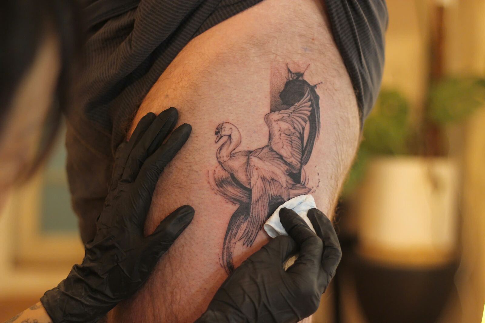 Tattoo artist wiping a fresh swan tattoo on a client's thigh